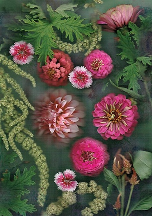 C Sterling | Love and Grace | McAtamney Galley and Design Store  |Geraldine NZ